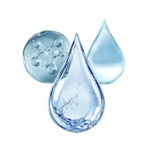 DSHA (Dimethylsilanol Hyaluronate)