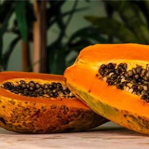 MET PAPA™ Papain (Activity 2000 USP)